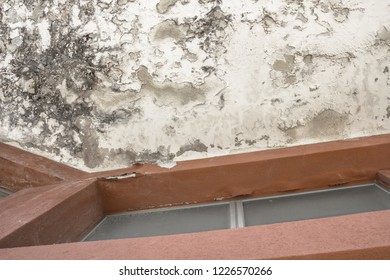 Damp Ceiling Stock Photos Images Photography Shutterstock