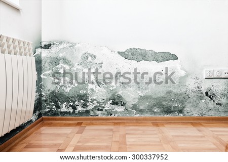 Similar – Image, Stock Photo dank Damp moisture