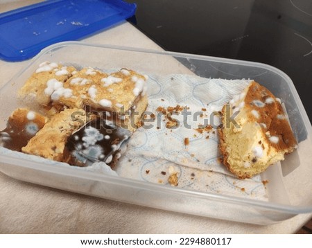 Mold on cakes in a plastic container