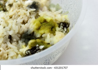 Mold on food jasmine rice Inside the rice cup.
