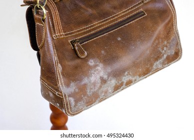 Mold On Old Brown Leather Bag, Fungus On Leather Bag