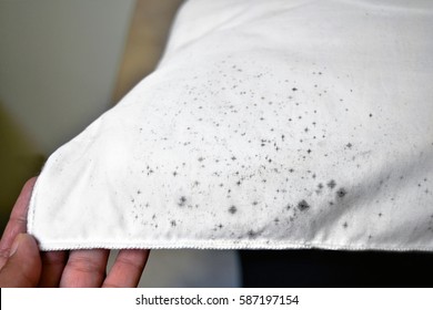 Mold on pillow. Mold on fabric. - Shutterstock ID 587197154