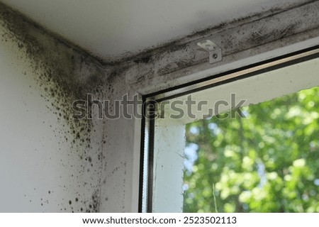 Mold on the plastic window.