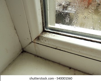 Mold On Plastic Window Frame