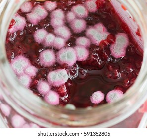 Mold on raspberry jam.