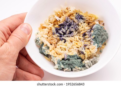 Mold On Rice, Spoiled Food  In White Bowl, Moldy Food