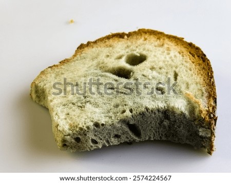 Mold on stale bread. The surface of moldy bread. Spoiled bread with mold. Mold on rotten bread. Top view.
