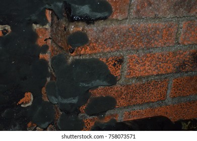 mold on wall