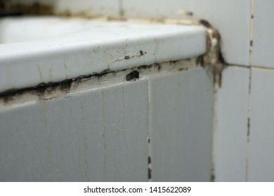 Mold On Wall In The Bathroom