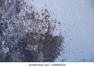 Mold On Wall Texture Wallpaper Stock Photo 1248302626 | Shutterstock