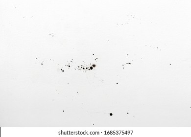 Mold on white wall texture or background. Mold growth on white surface.