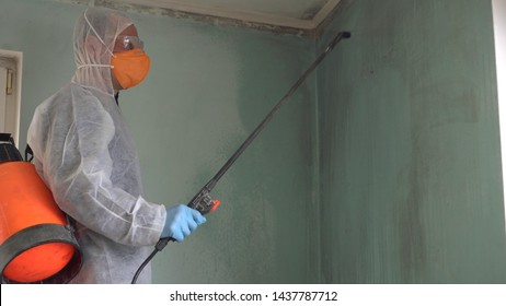 Mold Remediation Expert. Mold Inspections And Air Quality Testing. Black Mold And Mildew Disinfectants Labeled As A Fungicide And Mildewstat