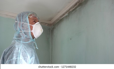 Mold remediation specialist inspects walls
