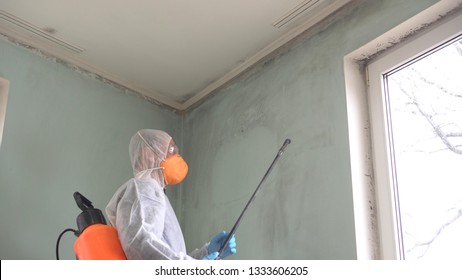 Mold Remediation Specialist In Uniform Inspects Walls And Spraying Pesticide On Damaged Wall With Sprayer