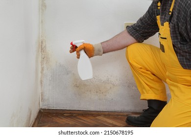 Mold Removal In Home, Worker Spraying Cleaning Solution From Bottle To Wall