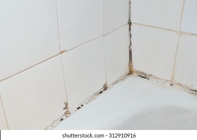 Mold And Scale On Old Bathroom Walls