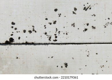 Mold Stains On Tile Surfaces Are Caused By Accumulated Moisture For A Long Time.  May Cause A Slipping Hazard When Walking