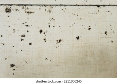 Mold Stains On Tile Surfaces Are Caused By Accumulated Moisture For A Long Time.  May Cause A Slipping Hazard When Walking