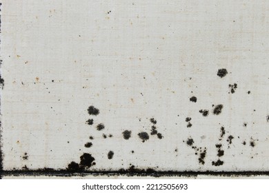 Mold Stains On Tile Surfaces Are Caused By Accumulated Moisture For A Long Time.  May Cause A Slipping Hazard When Walking