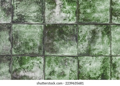 Mold texture tile fungus old green dirty background wall lichen grunge mildew surface. - Shutterstock ID 2239635681