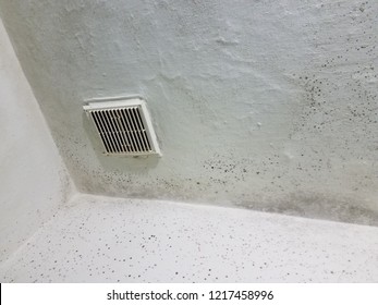 Mold wall background 