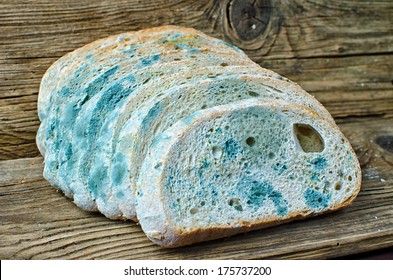 Moldy Bread