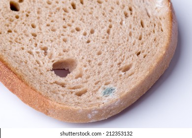 Moldy Bread