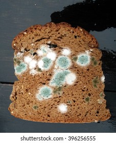 Moldy Bread