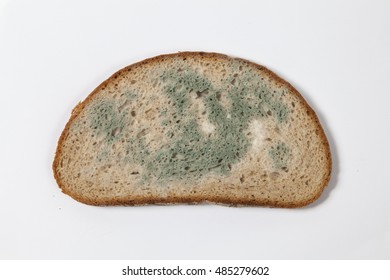 Moldy Bread