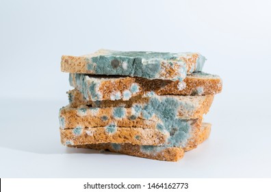 moldy bread isolated on white background,Moldy bread, expired can not eat any more. isolated on white background.