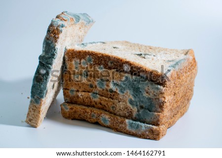 moldy bread isolated on white background,Moldy bread, expired can not eat any more. isolated on white background.