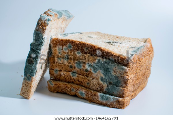 moldy bread\
isolated on white background,Moldy bread, expired can not eat any\
more. isolated on white\
background.