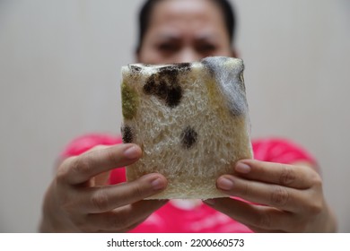 Moldy Bread On Hand, Rotten And Expired Bread