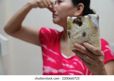 Moldy Bread On Hand, Rotten And Expired Bread