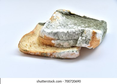 Moldy Bread Images Stock Photos Vectors Shutterstock