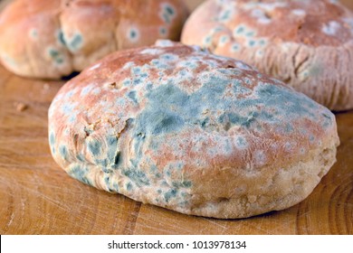 Free Bread mold Photos, Pictures and Images - PikWizard