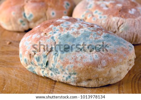 Moldy bread rolls on wooden cutting board.