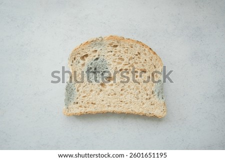 Moldy bread slice resting on a light surface showing decay