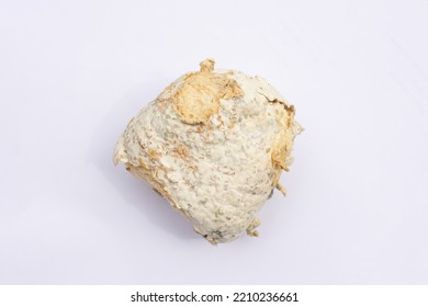 A Moldy Burger Bun Shot From Above On A Subject With A Blurry White Background.