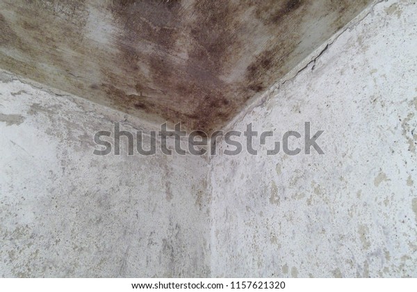 Moldy Ceiling Bathroom Stock Photo Edit Now 1157621320