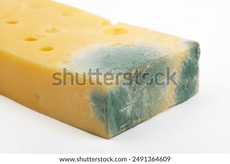 Similar – Image, Stock Photo Molds on cheese