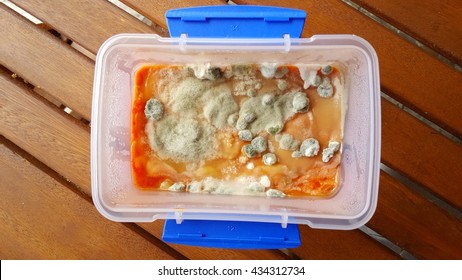 Pictures of moldy food