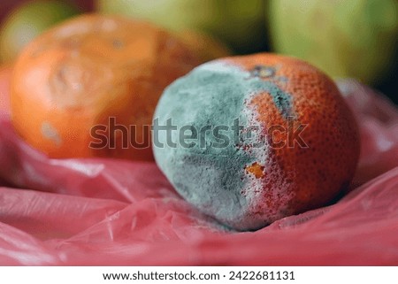 Moldy fruit. Mouldy tangerine. Fruits that are inedible and should be thrown away.