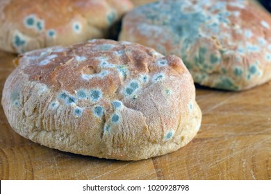 Moldy Inedible Food. Mold On Bread Rolls.