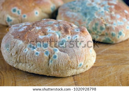 Moldy inedible food. Mold on bread rolls.