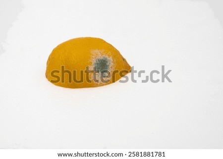 Similar – Image, Stock Photo Moldy lemon Lemon