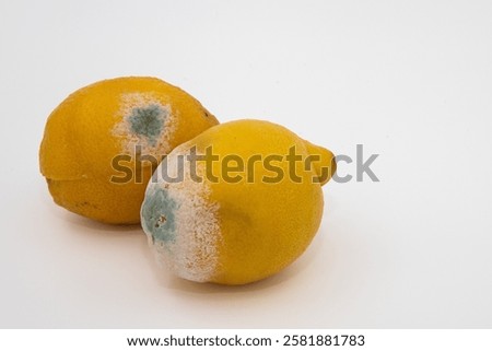 Similar – Image, Stock Photo Moldy lemon Lemon