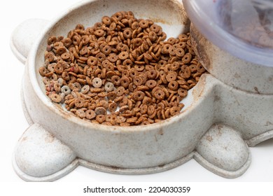 Moldy Old Cat Food: Old And New Cat Food Mixed In A Dirty Feeder Or Food Container.