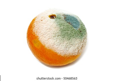 a moldy orange isolated on a white background