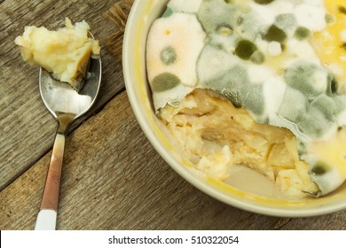 Moldy pudding. Poisonous food full of mold. Unhealthy food. Spores of the fungus for food. Growing mold.
